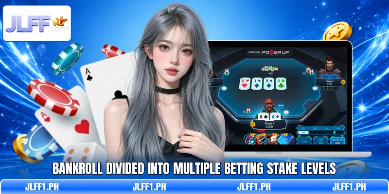 Bankroll divided into multiple betting stake levels